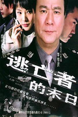 《日本妻子》海报